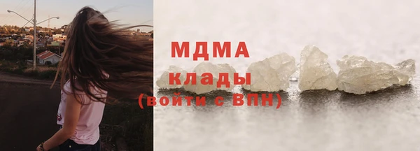 гидра Богданович