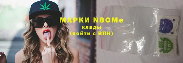 гидра Богданович