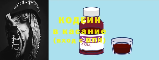 бошки Бородино