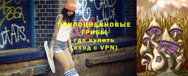 молекула духа Богородицк