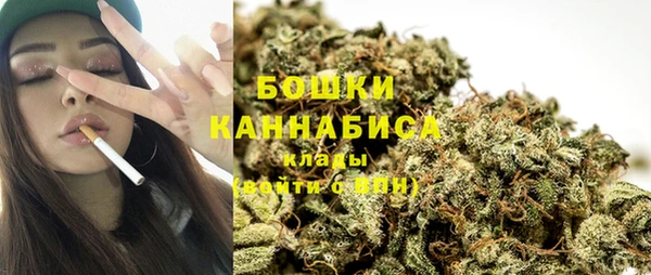 молекула духа Богородицк