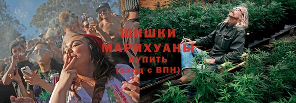 бошки Бородино