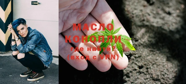 молекула духа Богородицк