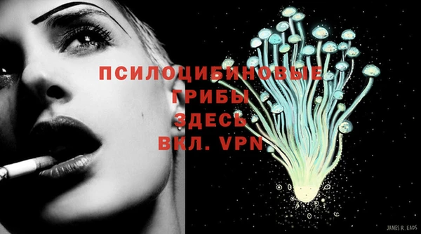 бошки Бородино